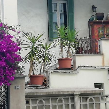 Villa Cecile Аяччо Екстер'єр фото