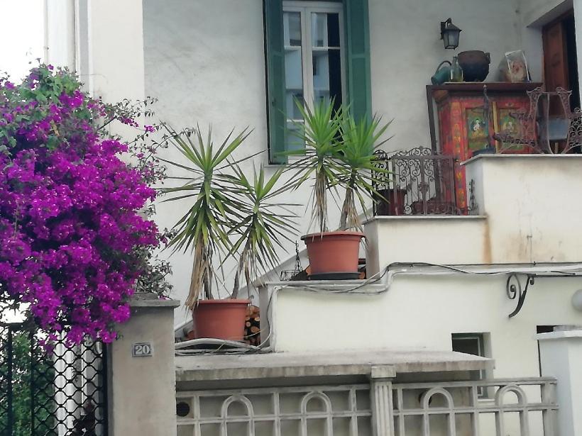 Villa Cecile Аяччо Екстер'єр фото